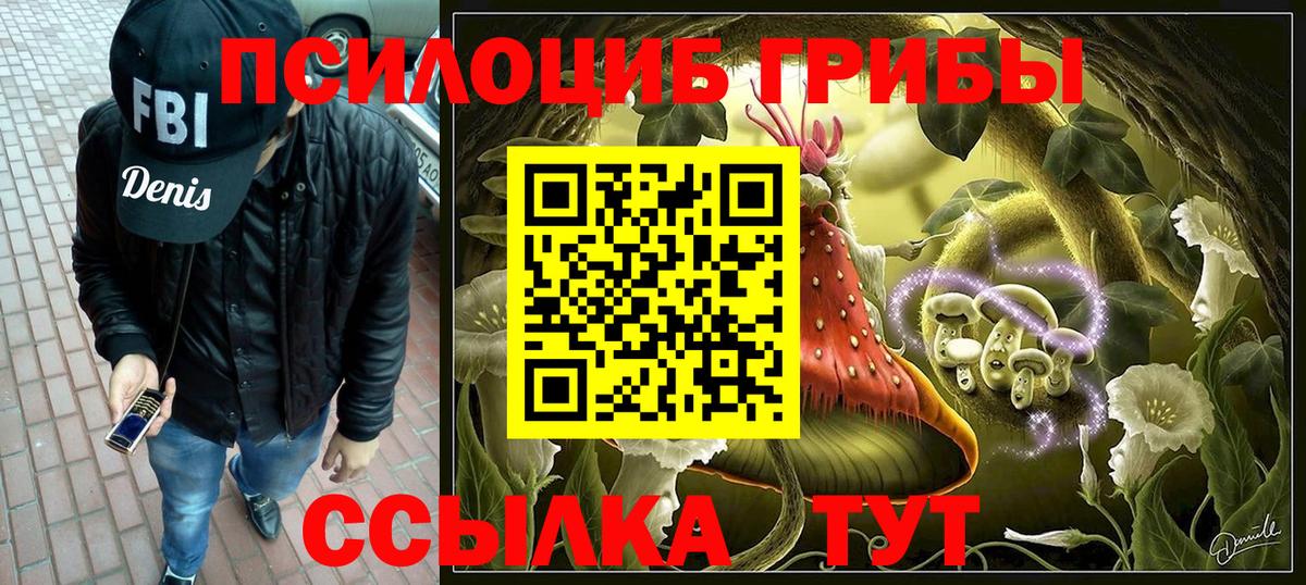 Советск  Псилоцибиновые грибы ЛСД  Вход с VPN 